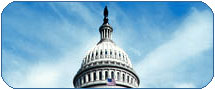 Government Info
